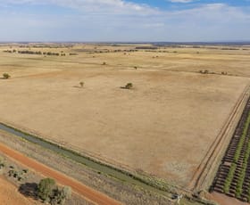 Rural / Farming commercial property for sale at "Mayura" Johnson Road Murrami NSW 2705