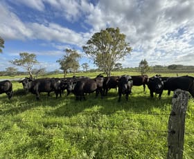 Rural / Farming commercial property for sale at 231 Dascombe Road Coalbank QLD 4352