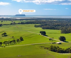 Rural / Farming commercial property for sale at 206 Murrays Lane South Forest TAS 7330