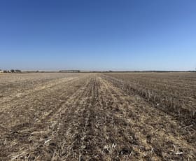 Rural / Farming commercial property for sale at Dwarlacking Road Bulyee WA 6306