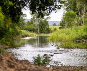 Rural / Farming commercial property for sale at 63 Mount Coxcomb Road Upper Lansdowne NSW 2430