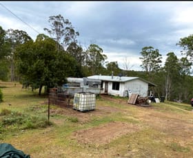 Rural / Farming commercial property for sale at 300 Ewingar Ridge Road Ewingar NSW 2469