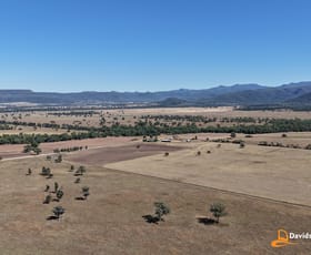 Rural / Farming commercial property sold at 638 Glencoe Road Maules Creek NSW 2382