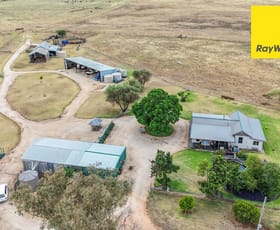 Rural / Farming commercial property for sale at 'Millfield'/122 Carl Tomes Lane Inverell NSW 2360