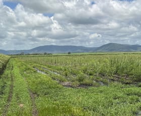 Rural / Farming commercial property for sale at 2/ Balberra Road Balberra QLD 4740 Rural / Farming commercial property for sale at 2/ Balberra Road Balberra QLD 4740