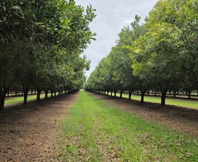 Rural / Farming commercial property for sale at Lot 21 Moylans Lane Empire Vale NSW 2478 Rural / Farming commercial property for sale at Lot 21 Moylans Lane Empire Vale NSW 2478
