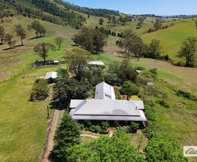 Rural / Farming commercial property for sale at 97 Stevens Close Wang Wauk NSW 2423