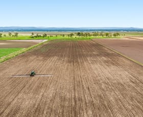 Rural / Farming commercial property for sale at 33 Blind Gully Road Mount Tarampa QLD 4311 Rural / Farming commercial property for sale at 33 Blind Gully Road Mount Tarampa QLD 4311