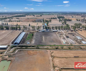 Rural / Farming commercial property for sale at 490 Neal Road Undera VIC 3629