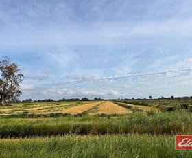 Rural / Farming commercial property for sale at 490 Neal Road Undera VIC 3629