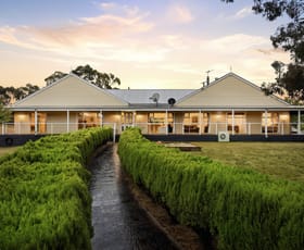 Rural / Farming commercial property for sale at 26 Upper T Upper Ti Tree Road Yea VIC 3717 Rural / Farming commercial property for sale at 26 Upper T Upper Ti Tree Road Yea VIC 3717