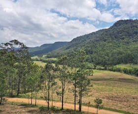 Rural / Farming commercial property for sale at 1670 Watagan Creek Road Watagan NSW 2325
