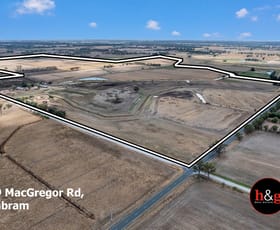Rural / Farming commercial property for sale at 269 Macgregor Road & 858 Mccoll Road Kyabram VIC 3620 Rural / Farming commercial property for sale at 269 Macgregor Road & 858 Mccoll Road Kyabram VIC 3620