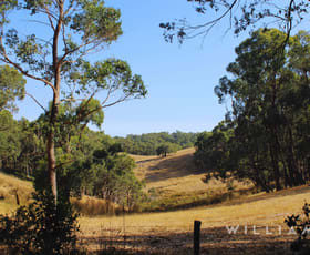 Rural / Farming commercial property sold at 97 Waters Road Mount George SA 5155 Rural / Farming commercial property sold at 97 Waters Road Mount George SA 5155