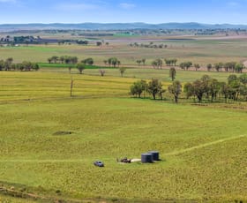 Rural / Farming commercial property for sale at 167 Stark Road Talgai QLD 4362 Rural / Farming commercial property for sale at 167 Stark Road Talgai QLD 4362