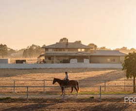 Rural / Farming commercial property for sale at 92 Edward Street West Moorong NSW 2650