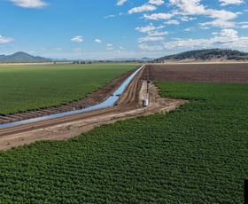 Rural / Farming commercial property for sale at 113 Kilphysic Road Carroll NSW 2340