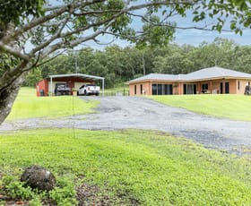 Rural / Farming commercial property for sale at 2852 Bruce Highway Hampden QLD 4741