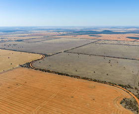 Rural / Farming commercial property for sale at 83 Cornells Road Condobolin NSW 2877