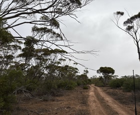 Rural / Farming commercial property for sale at Lot 104 Cant Road Kimba SA 5641