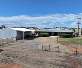 Rural / Farming commercial property for sale at 1274 Canola Way Marrar NSW 2652