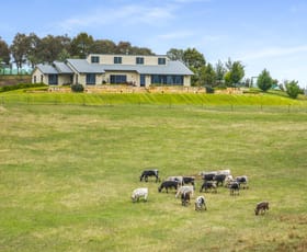 Rural / Farming commercial property for sale at 500 Portland Sunny Corner Road Portland NSW 2847