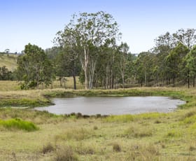 Rural / Farming commercial property for sale at 2492 New England Highway Cooyar QLD 4402