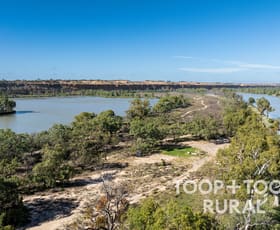 Rural / Farming commercial property for sale at Rhine Flat/106 Hunter Road Nildottie SA 5238