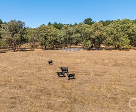 Rural / Farming commercial property for sale at 908 Brookman Road Kuitpo SA 5201