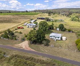 Rural / Farming commercial property for sale at 242 Reidy's Road Wooroonden QLD 4605