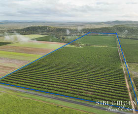 Rural / Farming commercial property for sale at 263/71 Gilmore Mareeba QLD 4880