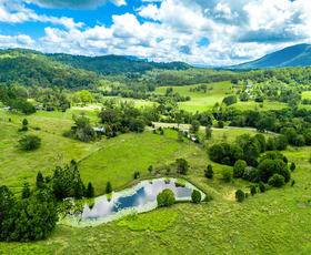 Rural / Farming commercial property for sale at 219 Stony Chute Road Nimbin NSW 2480