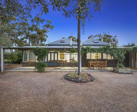 Rural / Farming commercial property for sale at 644 Baringhup West Road Baringhup West VIC 3463