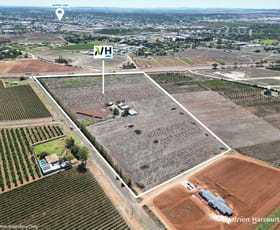 Rural / Farming commercial property for sale at 41 Centofanti Road Yoogali NSW 2680