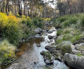 Rural / Farming commercial property for sale at 1224 Mount Mckenzie Road Tenterfield NSW 2372