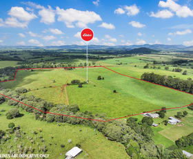 Rural / Farming commercial property for sale at Lot 2 Lake Barrine Road Lake Eacham QLD 4884