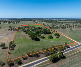 Rural / Farming commercial property for sale at 10991 Riddoch Highway Naracoorte SA 5271