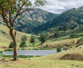 Rural / Farming commercial property for sale at 1746 Stewarts Brook Rd Stewarts Brook NSW 2337