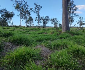 Rural / Farming commercial property for sale at 1/133 Price Street Kensington QLD 4670