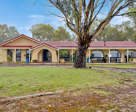 Rural / Farming commercial property for sale at 397 Cookes Road Springton SA 5235