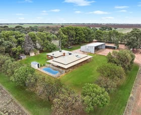 Rural / Farming commercial property for sale at 456 Boundary Road Leeton NSW 2705 Rural / Farming commercial property for sale at 456 Boundary Road Leeton NSW 2705