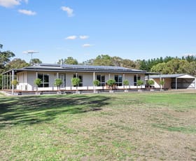 Rural / Farming commercial property for sale at 32 Willis Street Cavendish VIC 3314