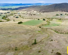 Rural / Farming commercial property for sale at 1/55 Daniel Lane Forbes Creek NSW 2621