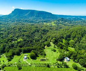 Rural / Farming commercial property for sale at 61 Tallowood Road Lillian Rock NSW 2480