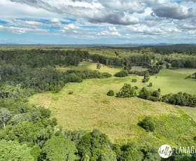 Rural / Farming commercial property for sale at 1420 Collombatti Road Collombatti NSW 2440 Rural / Farming commercial property for sale at 1420 Collombatti Road Collombatti NSW 2440