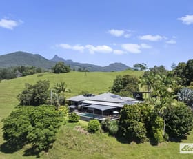 Rural / Farming commercial property for sale at 225 Tyalgum Road Eungella NSW 2484