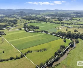 Rural / Farming commercial property for sale at 225 Tyalgum Road Eungella NSW 2484