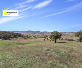 Rural / Farming commercial property for sale at Part 1169 Grahamstown Road Adelong NSW 2729
