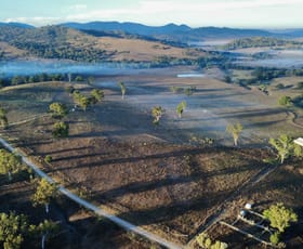 Rural / Farming commercial property for sale at "Brentwood Park" 80 Sandy Creek Road Blandford NSW 2338