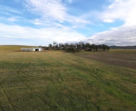 Rural / Farming commercial property for sale at 4087 Booborowie Rd Hallett SA 5419